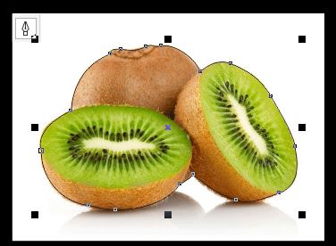 cdr用钢笔工具怎么抠图?cdr的钢笔工具抠图的操作方法