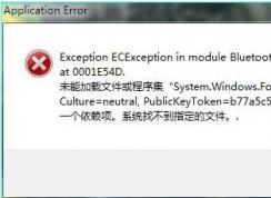 application error,Ӧ�ó������:Application Error��ô���