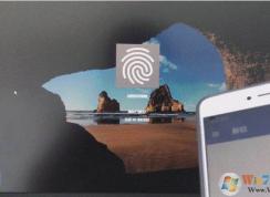 С��������ֻ�ָ�ƽ�������,����������ָ��������