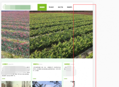 ��ҳ�ֻ����Ҳ���ʾȫ��ô�죿һ�д���͸㶨�ˣ�