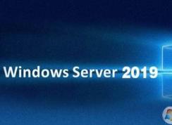 Windows Server 2019���̹��ش��̱���ʧ�ܽ������