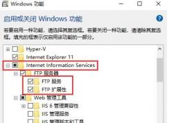 Win10 FTP����,Win10����FTPվ����ϸ�̳�