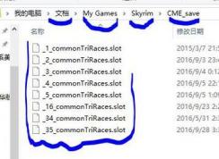 �Ϲž���ece�浵��ô�ã�ece�����浵�÷�