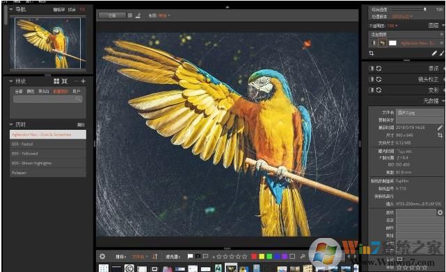 Alien Skin Exposure X4(��Ƭģ���˾�����)v4.0.2.43���İ�