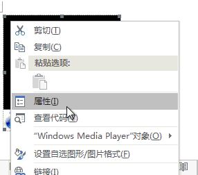 word怎么插入视频?教你word添加Flash、网络视频的方法