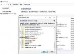 Win10ɳ��(Windows Sandbox) �򲻿��Ľ������