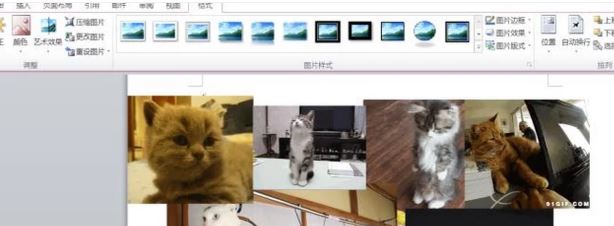 word图片与图片重叠怎么设置?word图片重叠设置方法