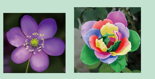 Photoshop横排文字蒙版工具怎么用?ps横排文字蒙版工具用法