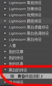 lr预设怎么导入?教你导入lr预设的详细操作方法