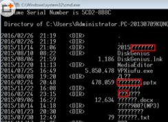 CMD������ʾ��������ʾ����(�ʺŻ򷽿�)