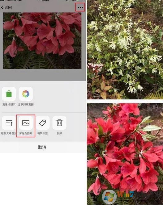 手机怎么截长图?教你苹果手机截长图操作方法