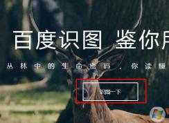 ʹ�ðٶ�ʶͼ�����Ƭ��α��������ͼƬ