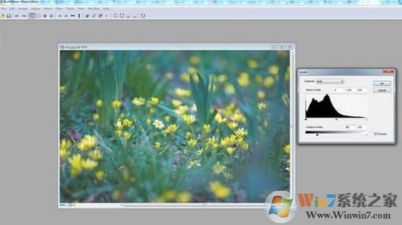 SunlitGreen BatchBlitz(图片批量编辑器)v3.4.0.1630