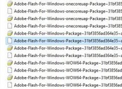 Win10��γ���ɾ��Adobe Flash Player���
