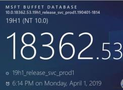 Win10 1903 KB4495666(18362.53)�ۻ��������߲�������