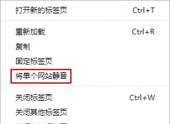 �ȸ���������ñ�ǩҳ�����ķ���(����������ǩ����)