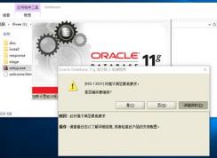 Win10ϵͳ��װOracle [INS-13001]�������������Ҫ�� �������