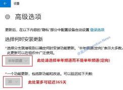 ��ν�ֹ���ӳٸ���Win10 1903�汾�Զ�������