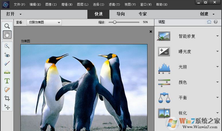 Adobe Photoshop Elements 2019绿色精简版(无需激活免费用)