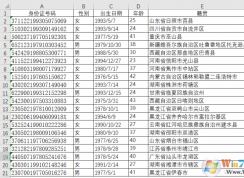 Excel����������֤��������ȡ�Ա�,����,��������,�����������Ϣ����