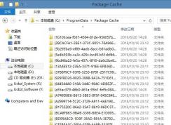 Package Cache��ʲô�ļ���,����ɾ����