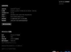 ΢�����ڲ���Win10 1093����18362.263:������������Bug