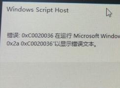 win10����ʧ�ܣ�0xc0020036 Windows Script Host�Ĵ��󵯴��������
