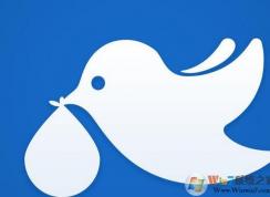 ��������ֻ��Ų�����ô�飿����������ݽ̳̣�