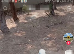 ����Ⱥ������ôŪ����������Ⱥ����ķ���