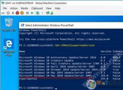 Win10 20H1������ΪMay 2020 Update (Win10 2003)