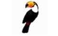 Toucan��ɫ��_Toucan������ͬ��������v3.04��ǿ��