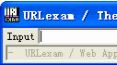 url���빤������_URLexam v1.2 ��ɫ��Ѱ�