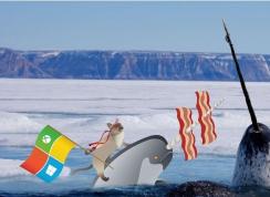 ΢�����տ�ʼ��ɰ�Win10���û�����Win10 1909��ʽ�����