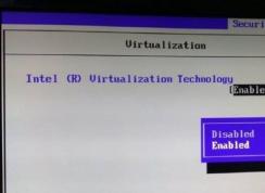 ��Ʒ�Ƶ���BIOS����Intel VT-X���⻯��������(��˶,����,HP,���ε�)