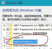 win10系统网页图片加载不出来该怎么办?网页图片不显示的解决方法