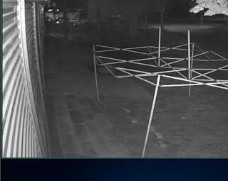 ��ά���ּ��ϵͳ����_��ά���������� v1.11.0.115 ��ɫ��Ѱ�