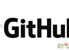 Github��վ�򲻿��Ľ������