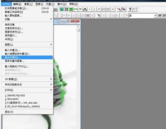 R2v32破解版_R2v32(图片矢量化软件)v5.5 绿色破解版