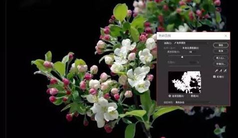 ps色彩范围怎么用?教你PS使用色彩范围来抠图的方法