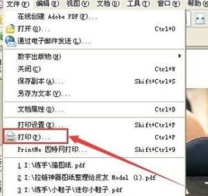 PDF格式怎么打印?pdf文件快速打印的操作方法