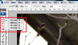 ps局部放大怎么调?PS放大局部位置的操作方法(含快捷键)