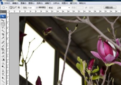 ps局部放大怎么调?PS放大局部位置的操作方法(含快捷键)
