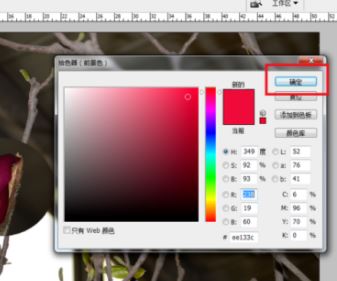 ps局部放大怎么调?PS放大局部位置的操作方法(含快捷键)