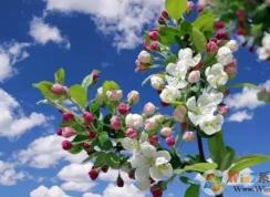 psɫ�ʷ�Χ��ô�ã�����PSʹ��ɫ�ʷ�Χ����ͼ�ķ���