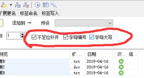 拖把更名器破解版_拖把更名器(不足1M的文件改名神器)v1.98i 绿色汉化版