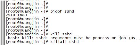 linux常用命令分享_新手必须掌握的linux命令大全