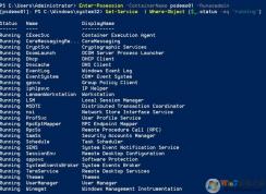 Win10 PoweShell����������87�������