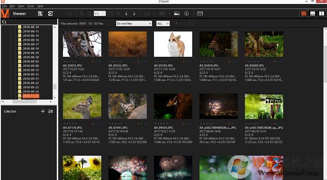 win10系统arw格式怎么打开?win10打开ARW文件教程
