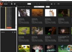 win10ϵͳarw��ʽ��ô�򿪣�win10��ARW�ļ��̳�