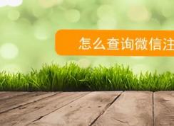 ��β�ѯ΢��ע��ʱ�䣿����鿴΢�ź�ע��ʱ��ķ���